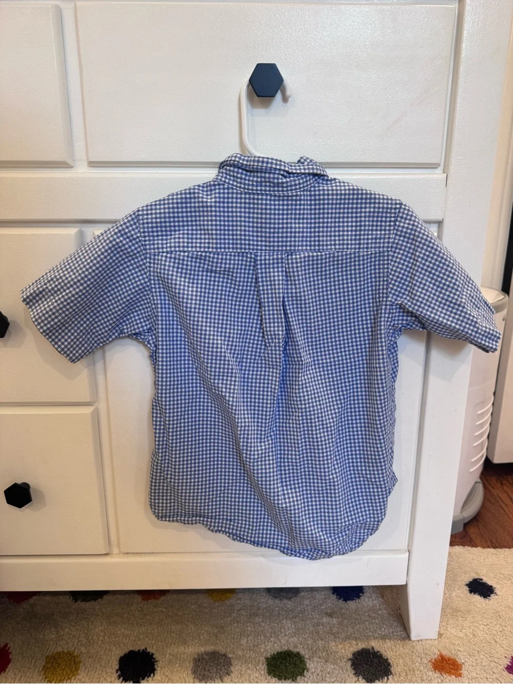 Ralph Lauren Blue & White Gingham Button-Down Shirt with Red Polo Logo
